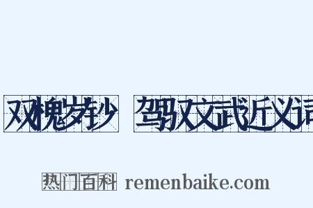 双槐岁钞·驾驭文武近义词是什么意思的图片